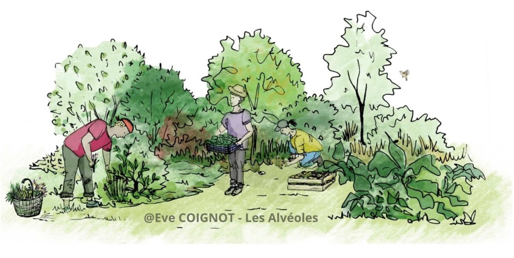 Week-end Permaculture & Jardin Nourricier