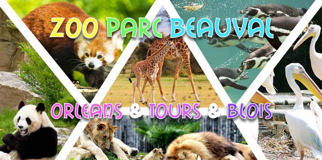 Week-end Zoo de Beauval, Orléans, Tours & Blois - 12-13 juin