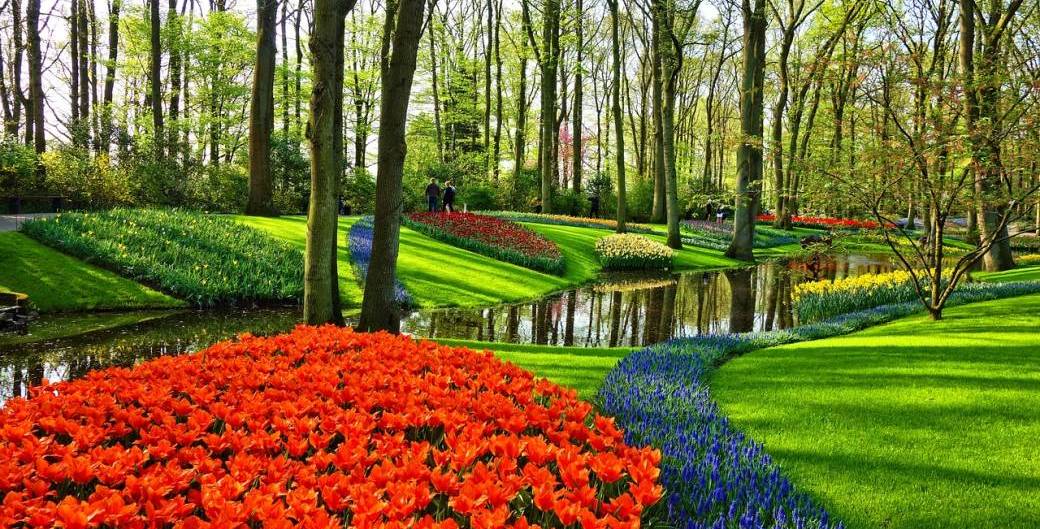 Weekend Amsterdam & Festival Tulipes 2024 | 27-28 avril