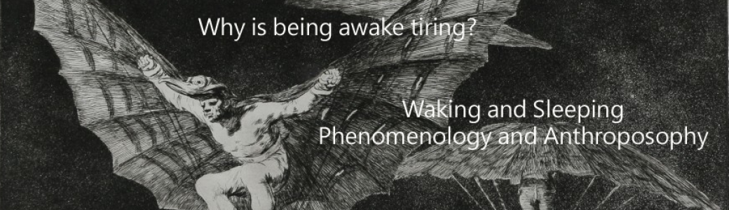 Why is being awake tiring?