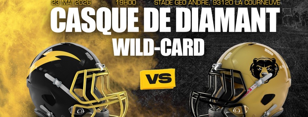 Wild-Card Flash vs Grizzlys - GR