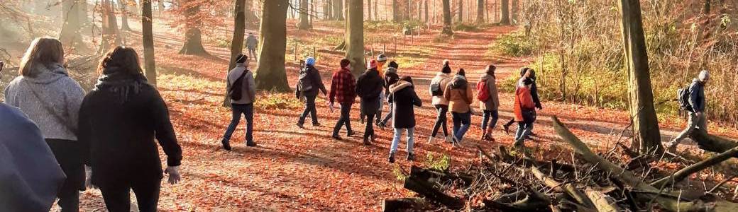 Wild Edible Plant Walk - Brussels (2026)