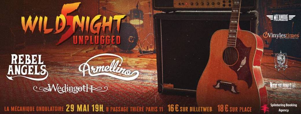WILD NIGHT 5 - Unplugged 