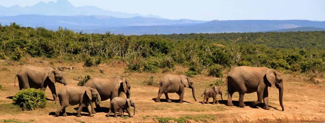 Wilderness Hiking Trail – South Africa