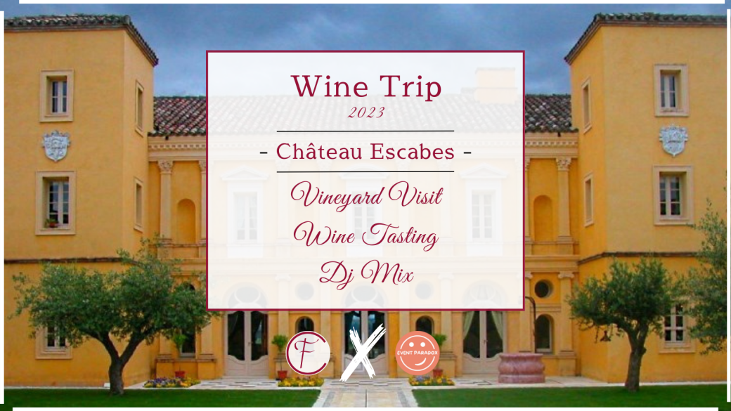 Vineyard visit & wine tasting - Gaillac