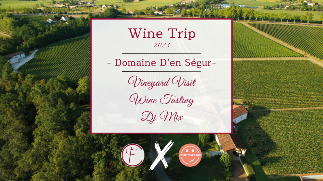 Vineyard visit & wine tasting - Gaillac