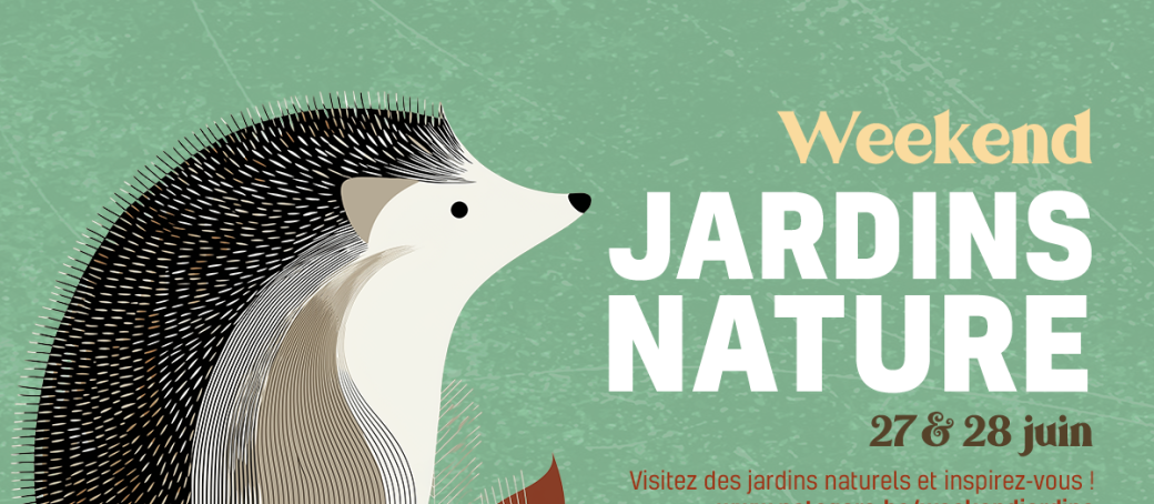 WJN - Balade dans le quartier de la Roue