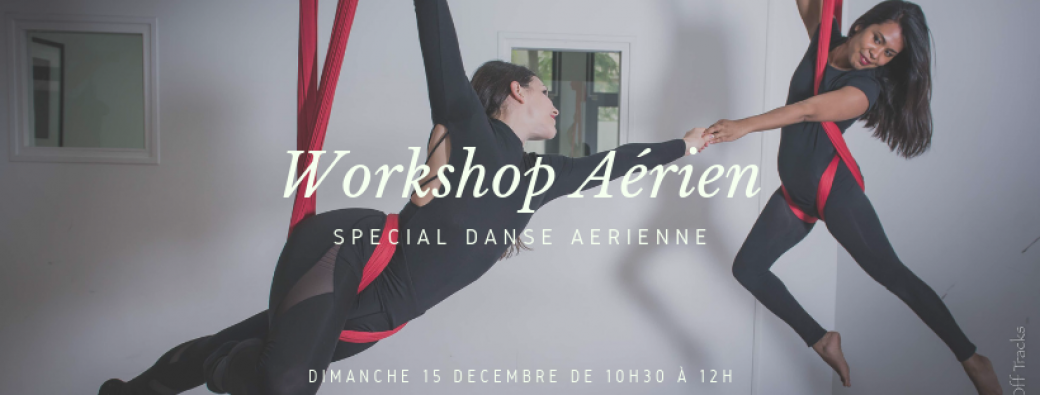 Workshop Aérien Spécial Danse aérienne