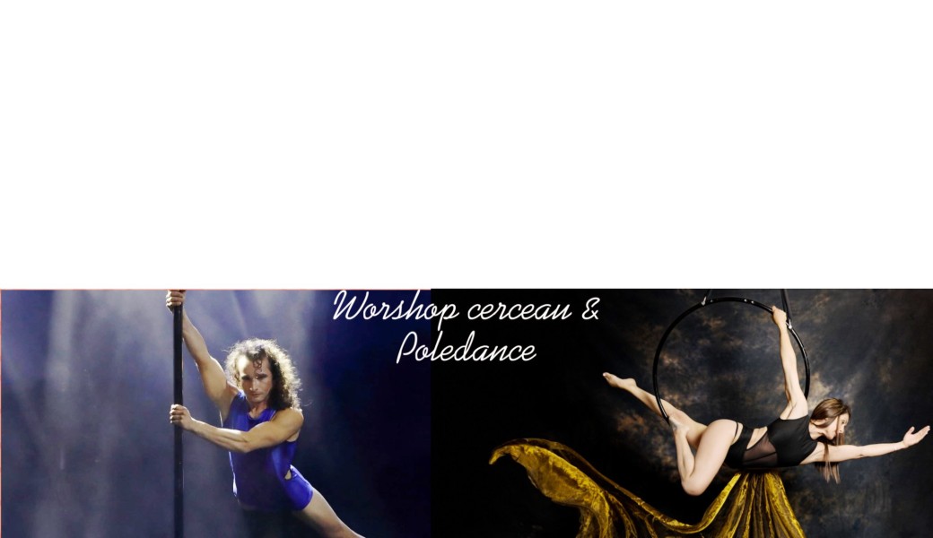 WORKSHOP CERCEAU ET POLE DANCE 