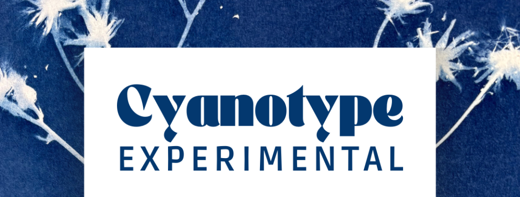 WORKSHOP CYANO EXPERIMENTAL - OCT 2025