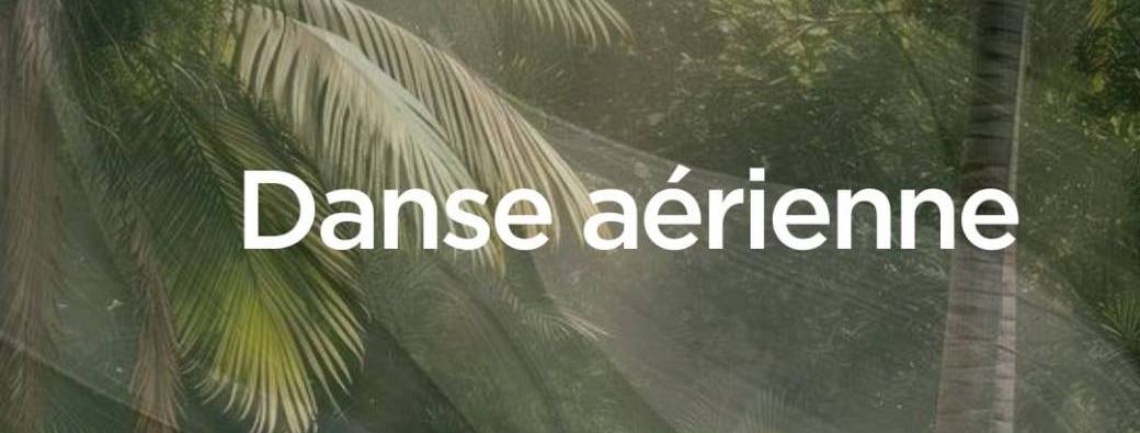 Workshop danses aériennes Enfants