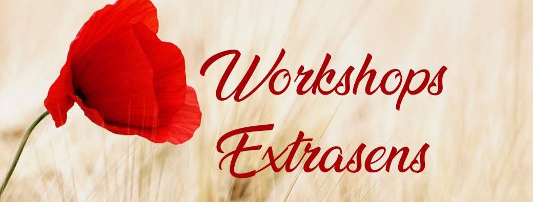 Workshops Extra Sens