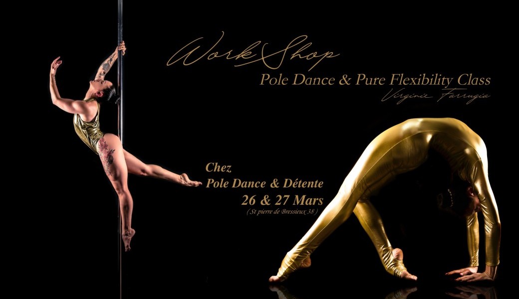 Workshop Pole Dance & Pure Flexibility Class