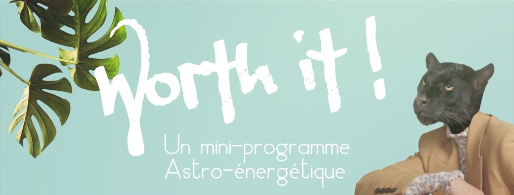 Worth It ! Reconnais, assume & Incarne ta Valeur Inestimable !