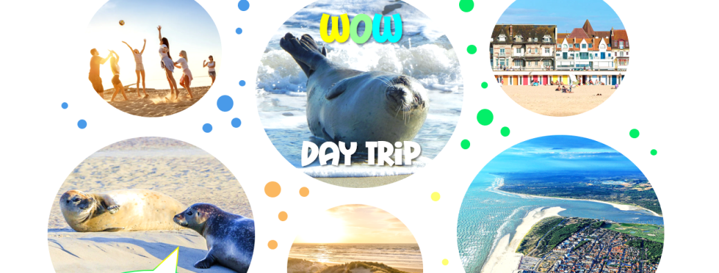 WOW DAY TRiP - PHOQUES SAUVAGES & BAiGNADE & DUNES DE SABLE