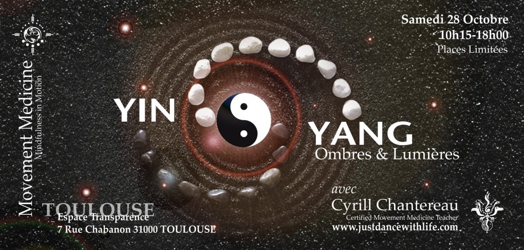 Yin Yang Ombres et Lumières 