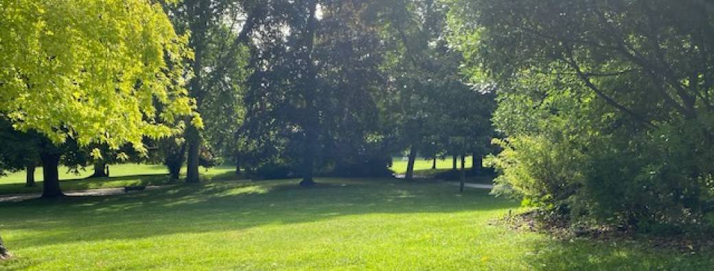 Yoga au Parc Montsouris