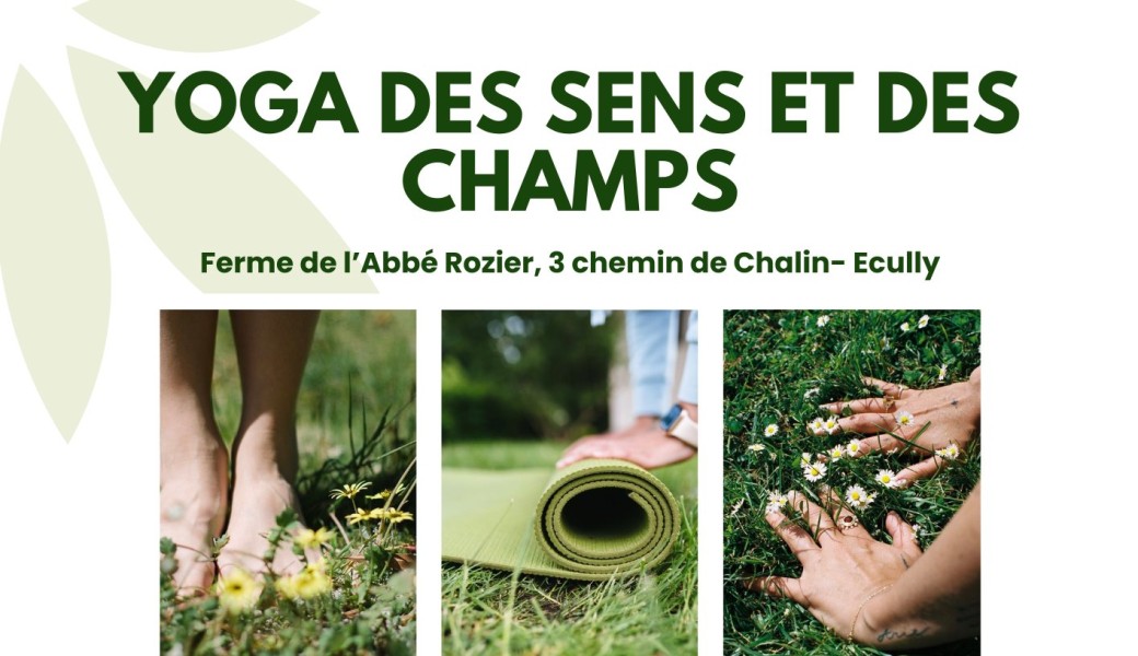 YOGA DE SENS ET DES CHAMPS