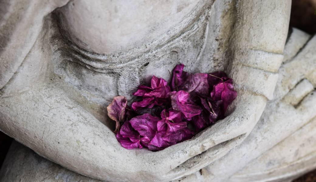 Séance de Yoga en ligne du mardi 23 février