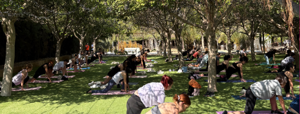 Yoga solidario con Andrea Ananda