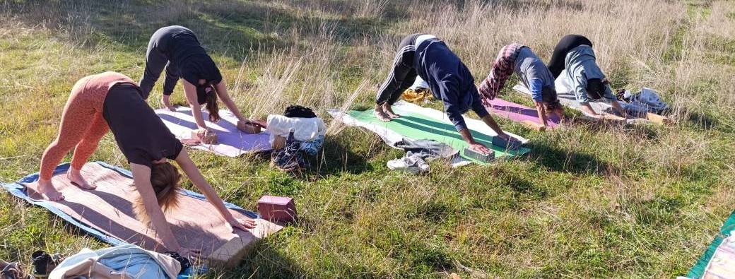 Yoga en nature – au cœur du vivant