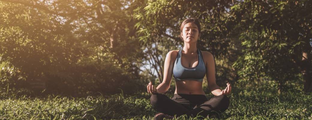 Yoga & plante de la gestion du stress