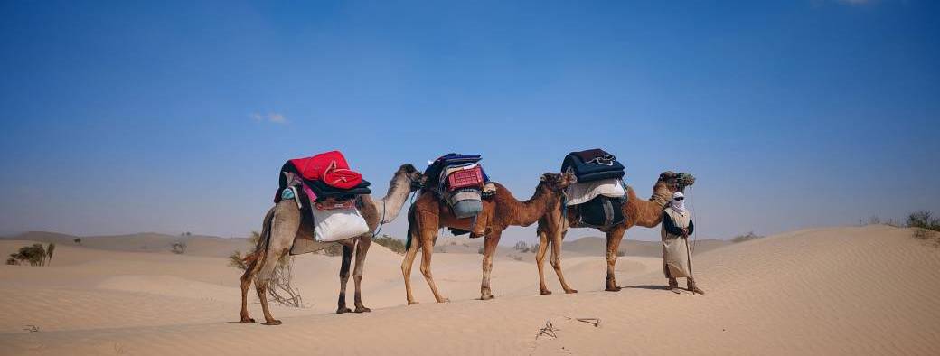 Séjour bien-être dans le Sahara 