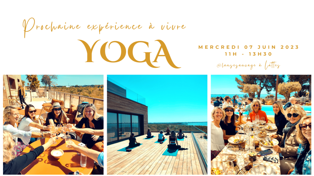 Yoga'lunch L'anse sauvage
