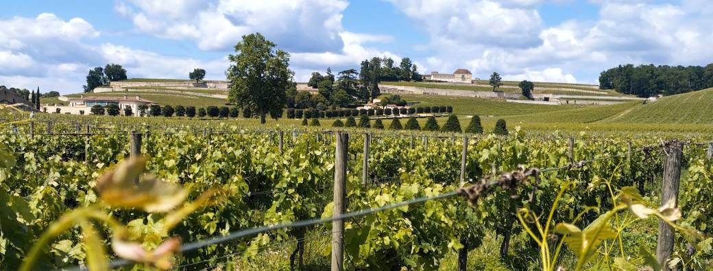 Your Gravel Bike Tour : Bordeaux historic center, vineyards & wine tasting