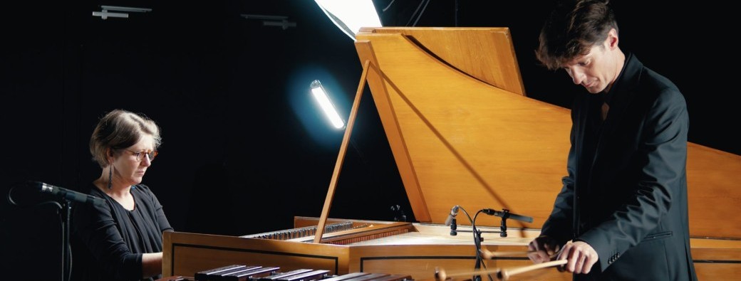 ZÈBRE - PERCUSSIONS CLAVIERS DE LYON