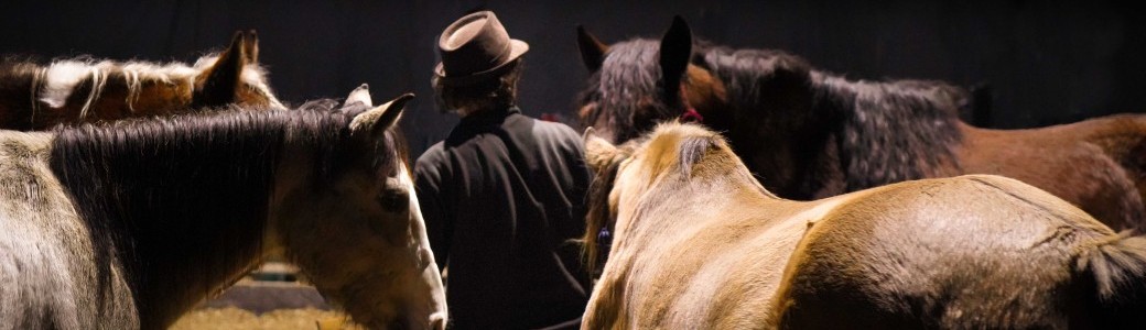 Zusammen, cirque théâtre équestre à Husseren-Wesserling