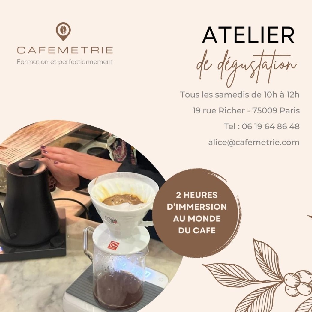 The Atelier Café Discovery 3 x 4 oz Collection main image 1