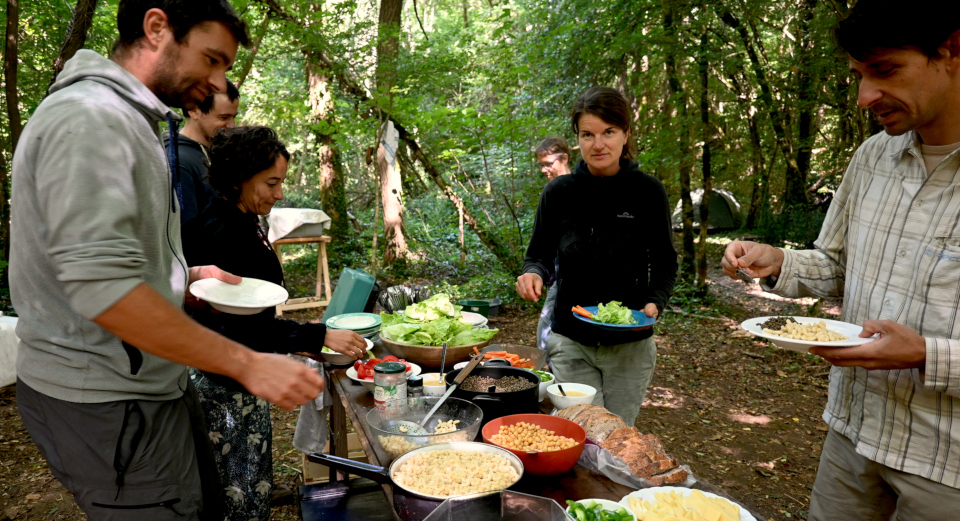 Un repas dans la forêt